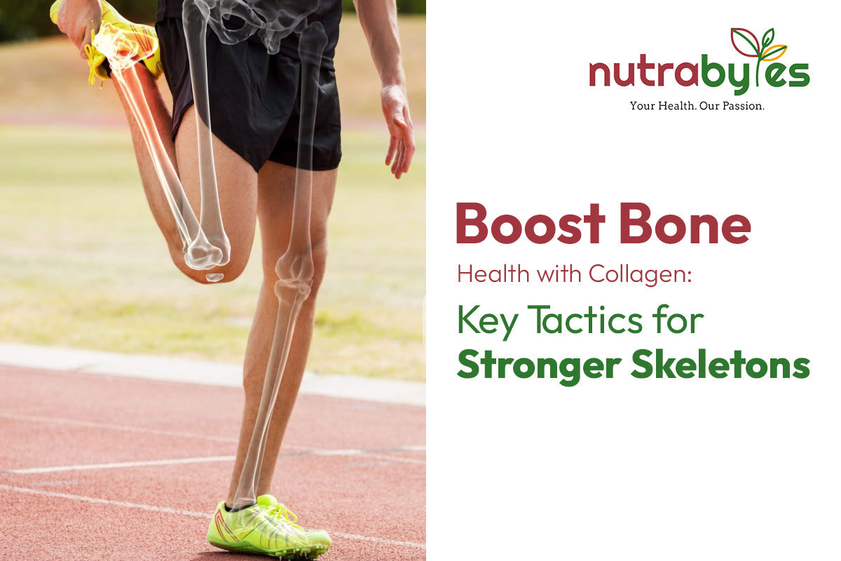 A skeleton representing Bone health necessity with collagen