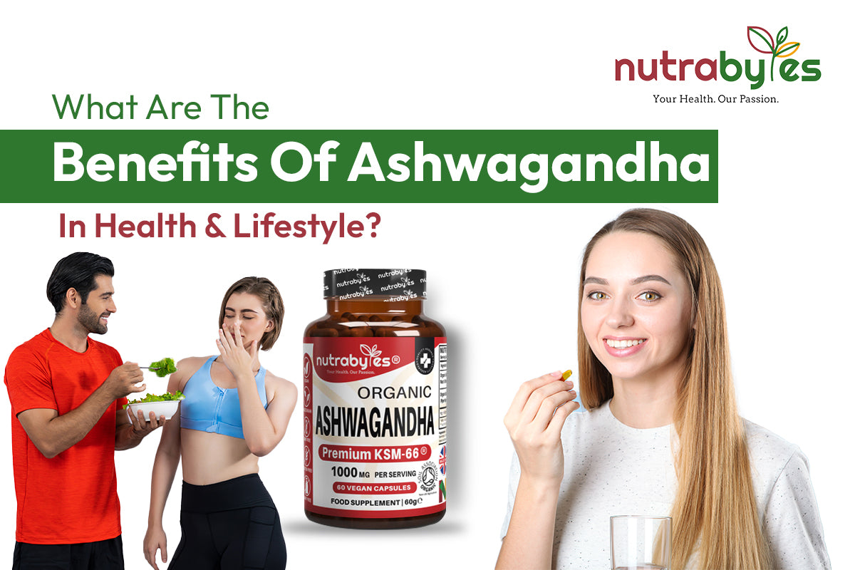 What Are The Benefits Of Ashwagandha In Health & Lifestyle?