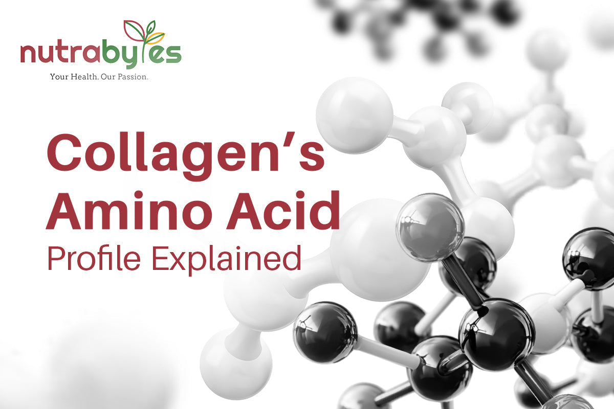 Collagen’s Amino Acid Profile Explained