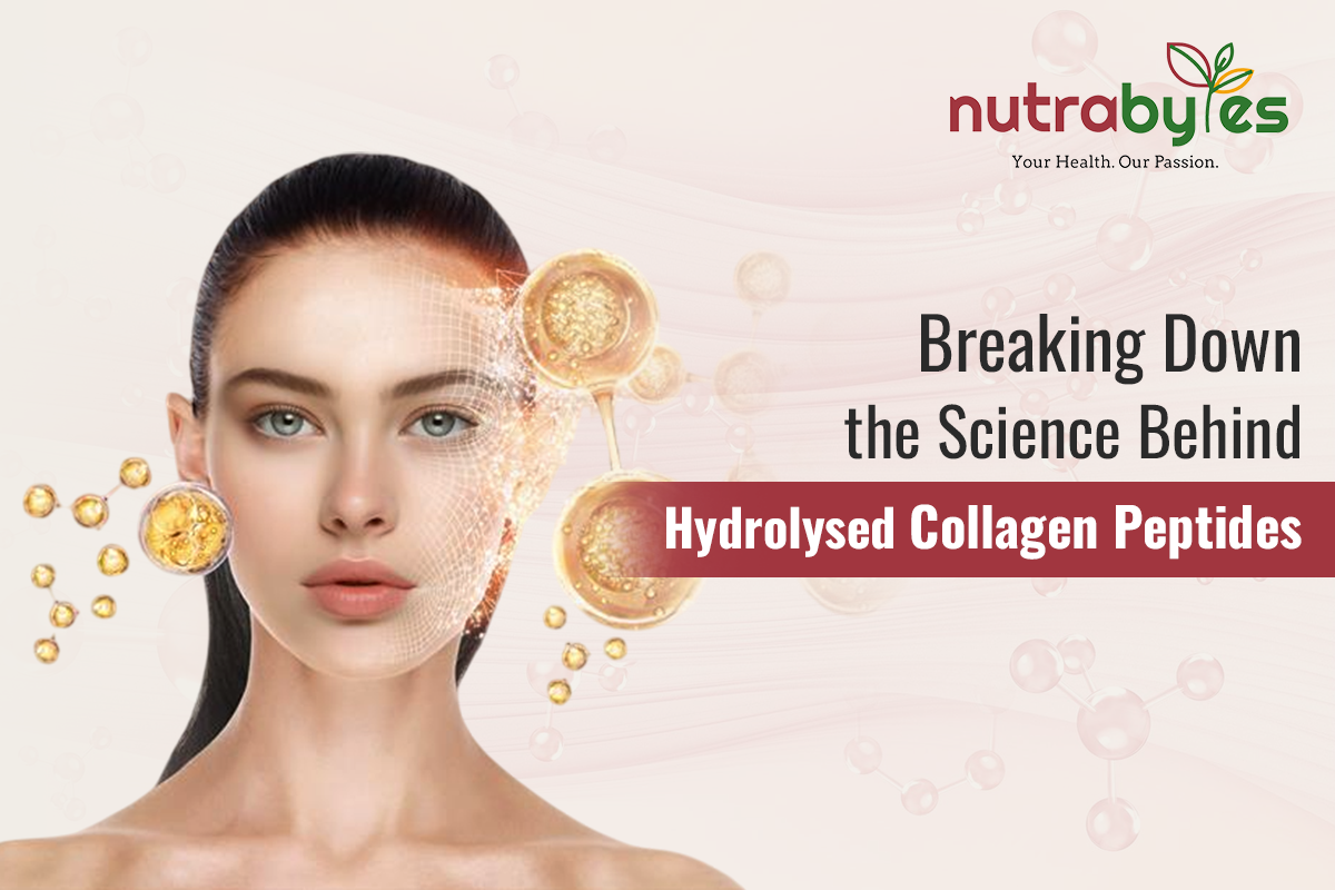 Breaking Down the Science Behind Hydrolysed Collagen Peptides
