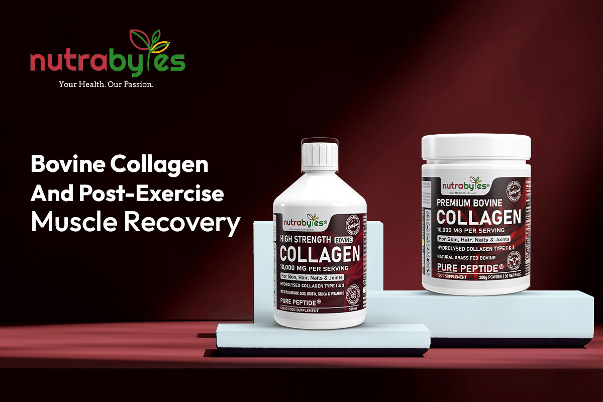 Bovine Collagen And Post-Exercise Muscle Recovery
