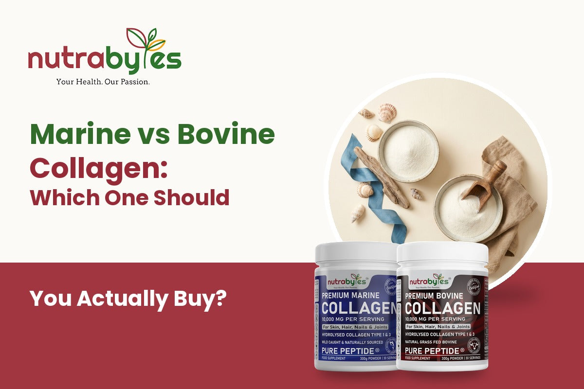 Marine vs bovine collagen comparison with Nutrabytes marine and bovine collagen powders