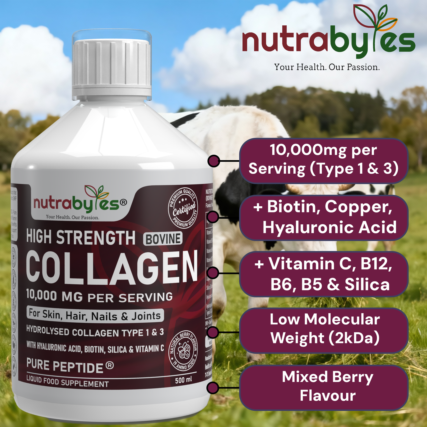 High-Strength Liquid Bovine Collagen Supplement for Women and Men, 10,000 mg Liquid Collagen with Hyaluronic Acid and Vitamin C, 19 Amino Acids,  Collagen Types 1 and 3, Berry Flavoured, Halal & Kosher certified