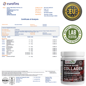 Premium Bovine Collagen Powder 10,000mg