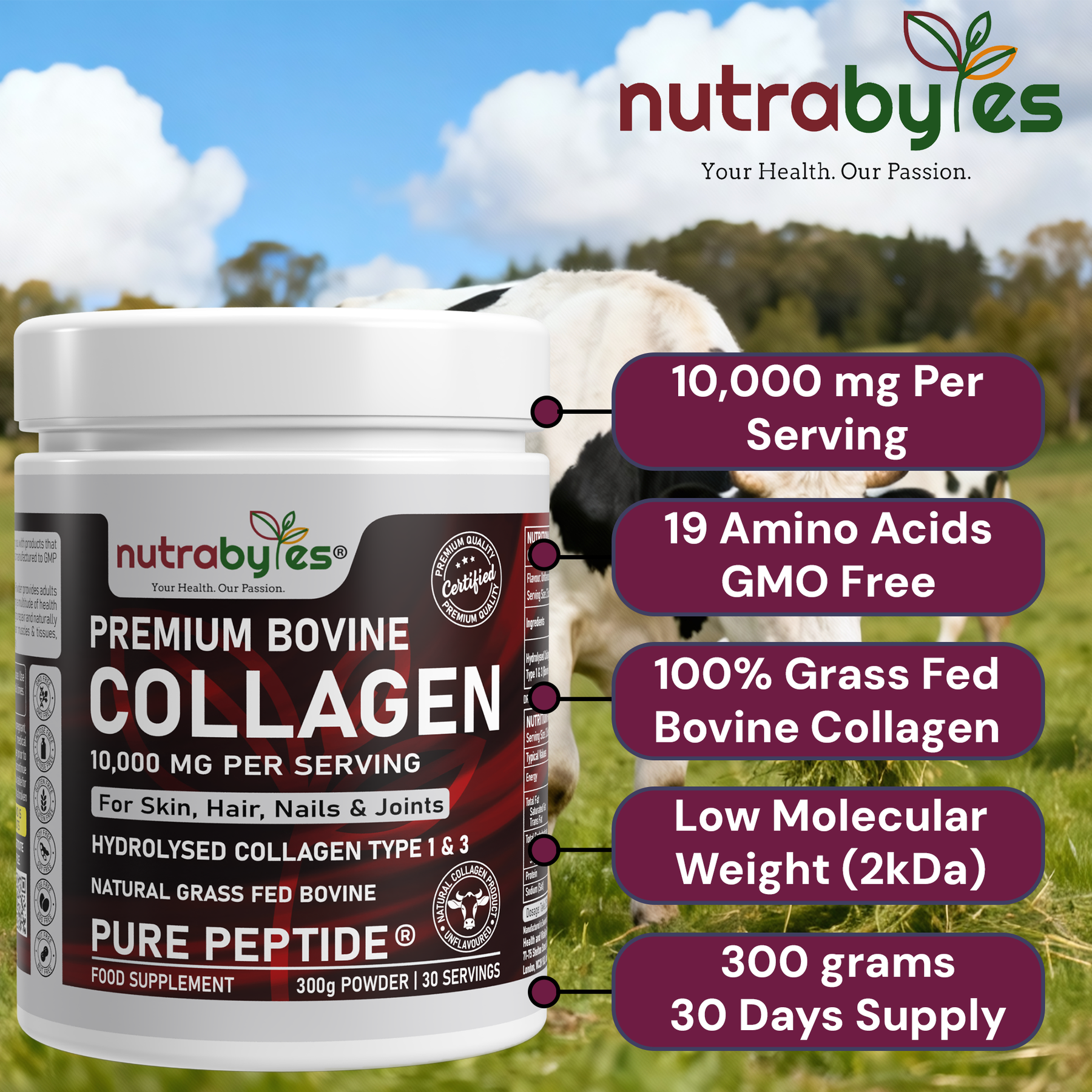 Premium Bovine Collagen Powder 10,000mg