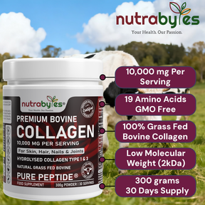 Premium Bovine Collagen Powder 10,000mg