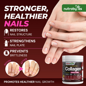 Collagen Powder with Creatine Monohydrate | Ultimate Beauty & Fitness Combo | Unflavoured | 405g