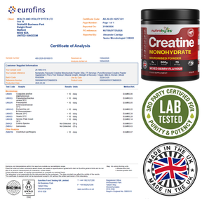 Creatine Monohydrate Powder 300g (75 Servings) – Pure Micronised Creatine Powder Supplement for Men & Women, Pre & Post Workout Strength, Muscle Growth & Recovery, Vegan – Mixed Berry Flavour