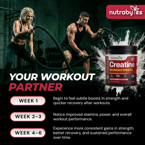 Creatine Monohydrate Powder 300g (75 Servings) – Pure Micronised Creatine Powder Supplement for Men & Women, Pre & Post Workout Strength, Muscle Growth & Recovery, Vegan – Mixed Berry Flavour
