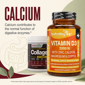 Calcium contributes to the normal function of digestive enzymes