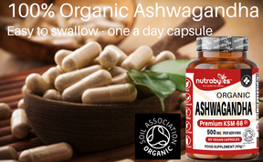 Ashwagandha orgánica KSM-66 ® 500 mg por porción, certificado orgánico por Soil Association