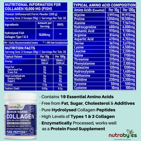 Proteína de colágeno marino en polvo 10 000 mg de péptidos hidrolizados puros, 19 aminoácidos, sin sabor (colágeno tipo 1 y 3)